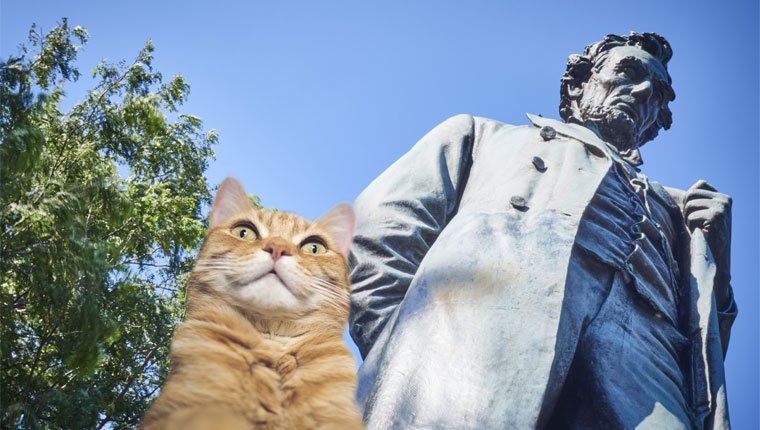 Tabby und Dixie: Abraham Lincolns Katzen