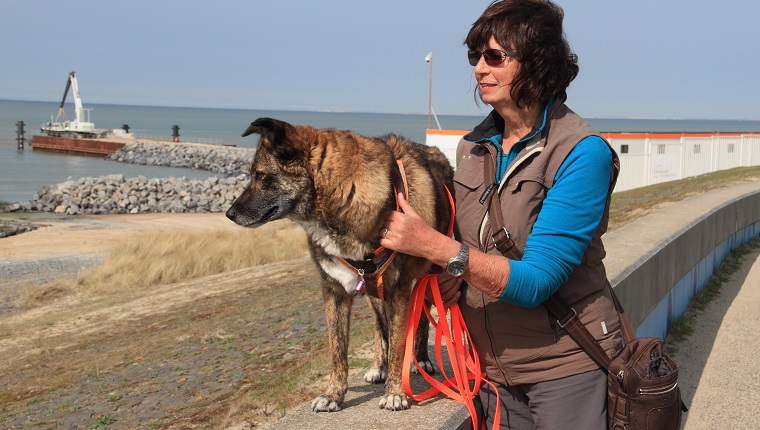 Frau und Haustierhund durch den Strand