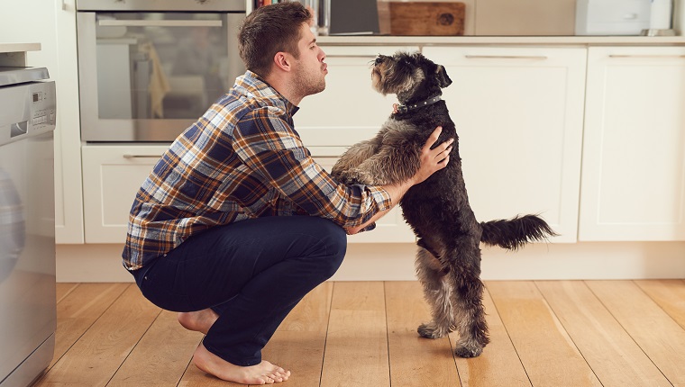Aufnahme eines Mannes, der zu Hause mit seinem Hund spielt