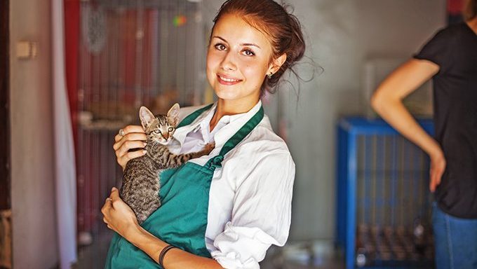 Verbringen Sie Zeit mit weniger adoptierbaren Katzen in Ihrem örtlichen Tierheim