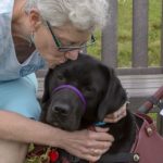 A service dog named Lucee enjoys a kiss from her recipient during a three week "team training" for this newly matched team. The service dog has been trained by Canine Partners for Life, a non-profit service dog training organization in Cochranville, PA, USA. The recipient has MS.