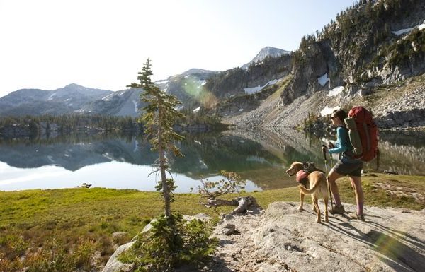 dog and person on hike