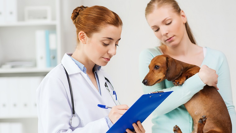 Medizin-, Haustierpflege- und Personenkonzept - Frau, die Dackelhund und Tierarztarzt mit Zwischenablage hält, die Notizen an der Tierklinik machen