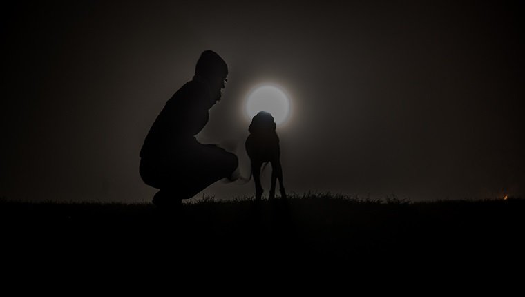Mann, der durch Hund auf dem Feld in der Nacht kauert