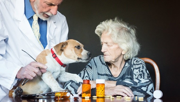 Pet therapy has an amazing impact on quality of liefe of a senior woman in assisted living home
