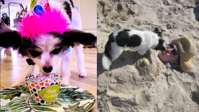 Links: Piper's 14. Geburtstag mit Kevin. Rechts: Kevin und Piper haben Spaß am Strand.