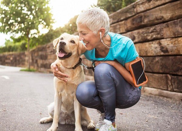 Sind Hunde Allesfresser? Was bedeutet das und was sollten sie essen