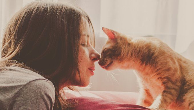 Frau küsst Katze