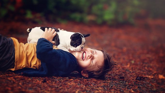 Französischer Bulldoggenwelpe leckt Kindergesicht