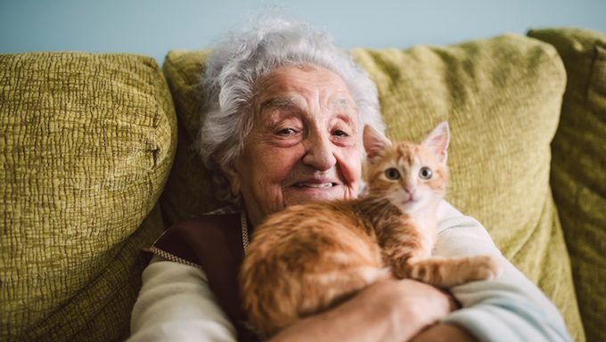 ältere Frau mit Kätzchen