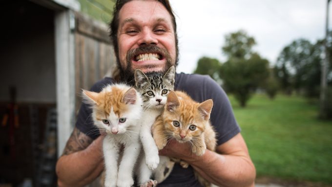 Mann hält drei Kätzchen