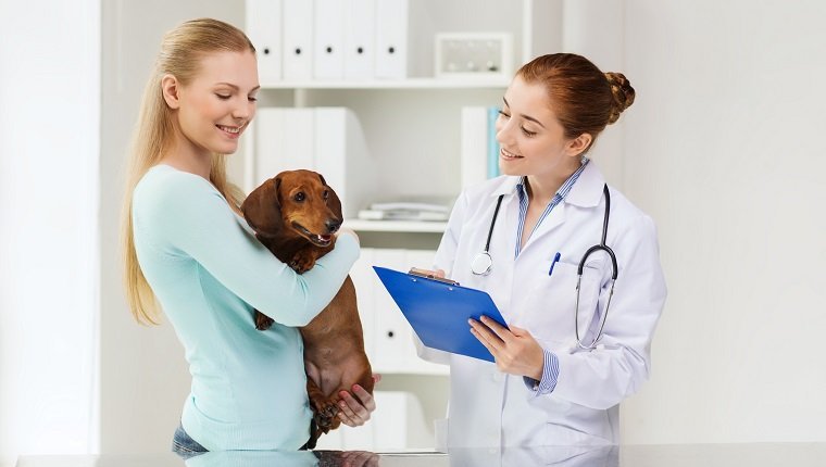 Medizin-, Haustierpflege- und Personenkonzept - glückliche Frau, die Dackelhund und Tierarztarzt mit Klemmbrett an Tierarztklinik hält