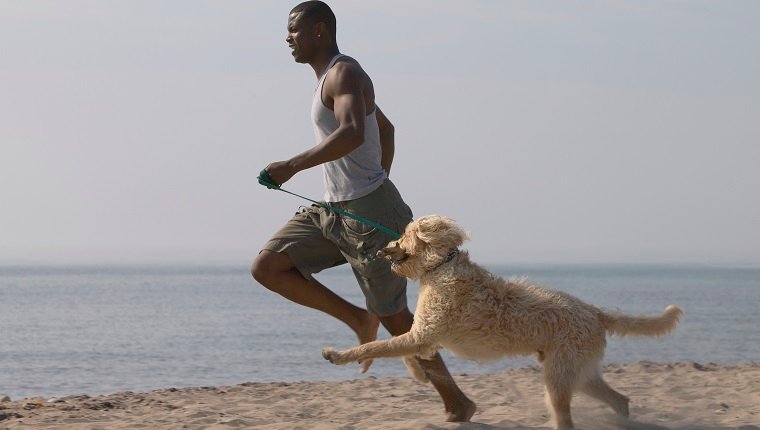 Afrikanischer Mann, der mit Hund am Strand läuft