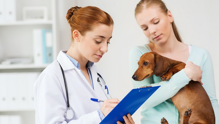 Medizin, Haustierpflege und Personenkonzept - Frau, die Dackelhund und Tierarztarzt mit Zwischenablage hält, die Notizen an der Tierarztklinik machen