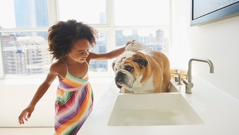 Schwarzes Mädchen, das Haustierhund im Waschbecken badet