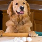 dog in kitchen with rolling pin, eggs, and flour