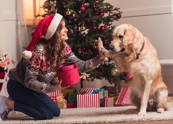 happy young woman in santa hat playing with dog at christmastime