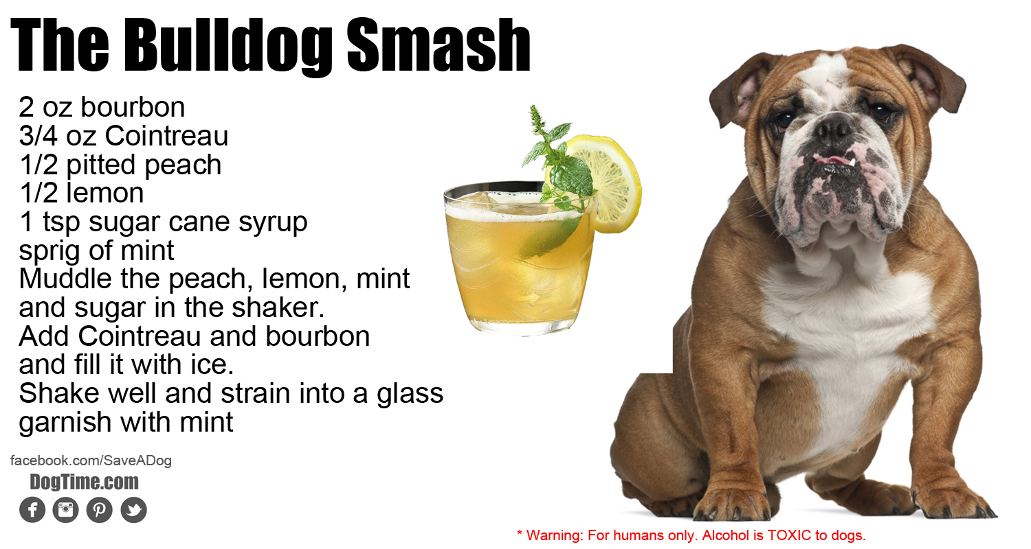Bulldog Smash Cocktail Rezept