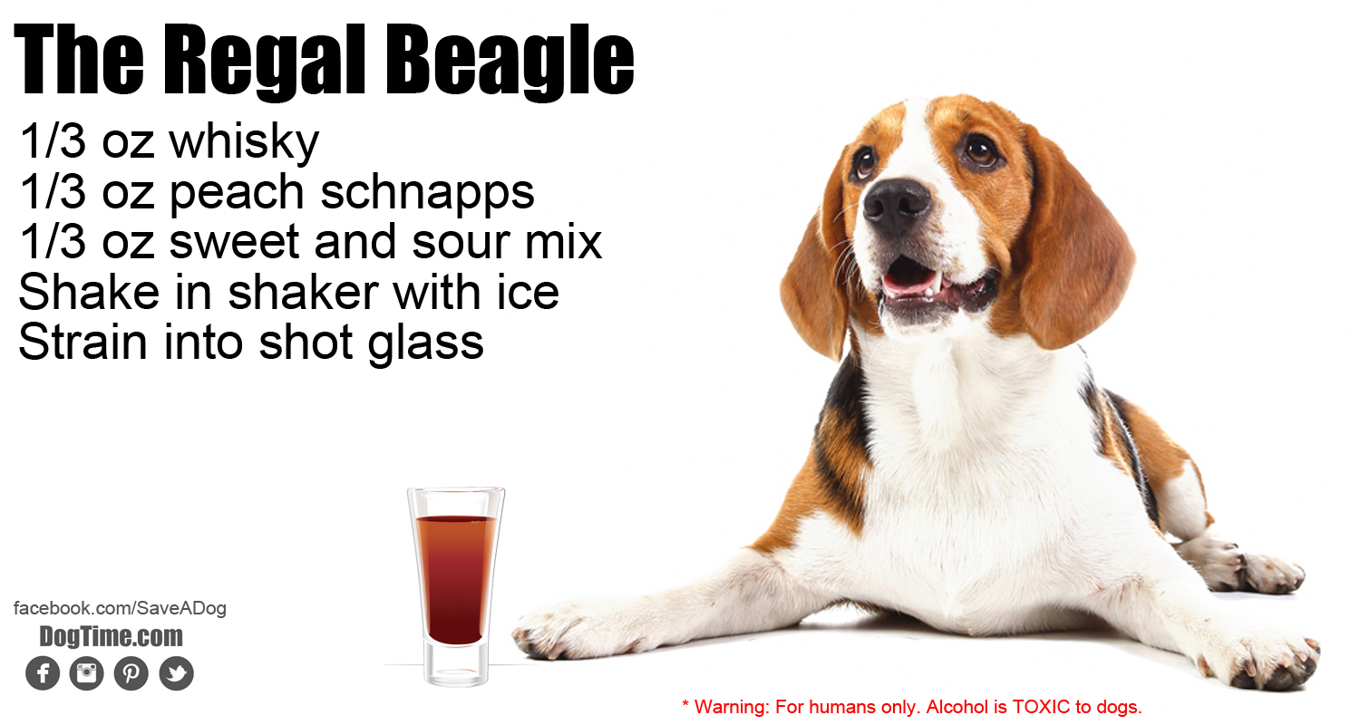 Regal Beagle Cocktail Rezept