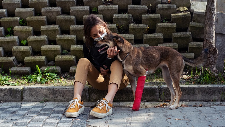 Eine Frau im mittleren Erwachsenenalter, die gerade einen verletzten Hund aus einem Tierheim adoptiert.