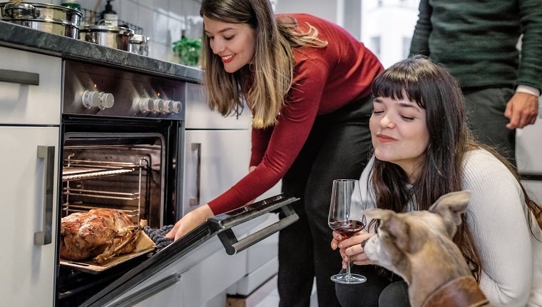 schöne junge Frau mit Hund, der Weihnachtsgeflügel im Ofen prüft