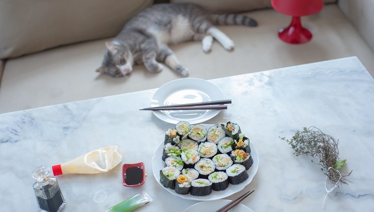 Japanisches hausgemachtes Maki-Sushi auf dem Tisch mit Mayonnaise, Wasabi und Sojasauce, meine Katze liegt auf dem Sofa im Hintergrund.