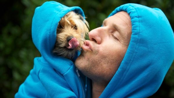 Man kisses his best friend dog in matching blue hoodies in bright green park background outdoors