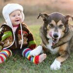 An adorable 8 month old baby girl is bundled up in a sweater and wearing a winter earflap hat looking lovinlgy at her pet German Shepherd dog as they sit and laugh ouside on a cold fall day.