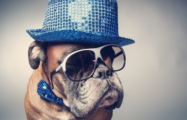 The creator of National Dress Up Your Pet Day stresses January 14th is not a day for humans to force pets to suffer humiliation or discomfort. (Picture Credit: Getty Images)