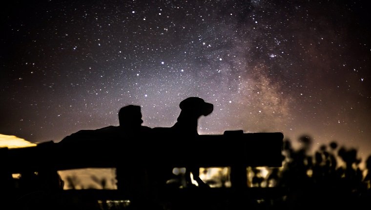 Silhouette Männer mit Hund sitzen auf Bank gegen Himmel in der Nacht