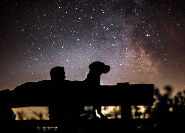 Silhouette Men With Dog Sitting On Bench Against Sky At Night