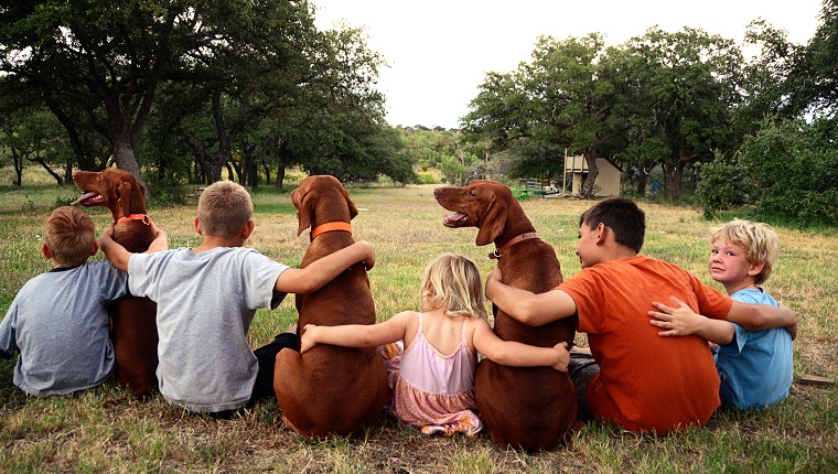 Eine Gruppe von Kindern sitzt mit ihren Armen umeinander und drei Hunden.
