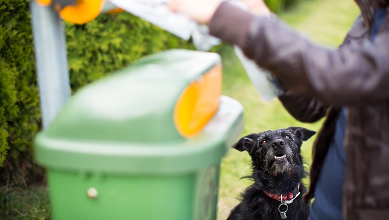 Ein Hund sitzt und wartet, während sein Besitzer Taschen aus einem Spender neben einem Mülleimer bekommt.