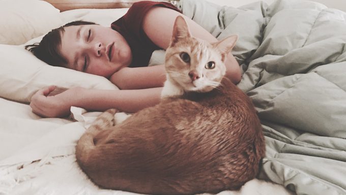 Katze liegt mit Kind auf dem Bett