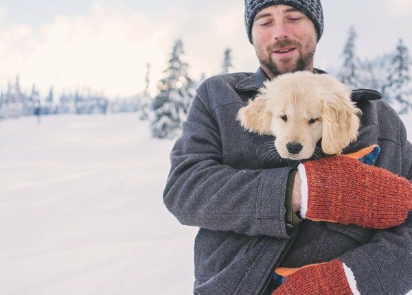 Man holding golden retriever puppy dog in his coat