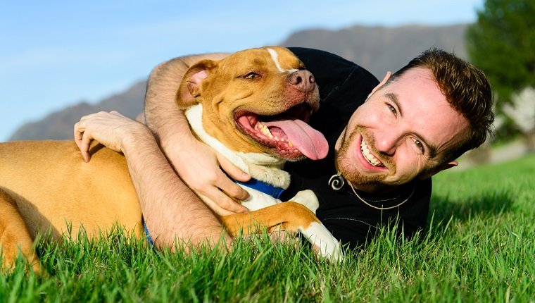 Glücklicher Mann mit seinem Hund auf dem Gras. Gebirgszug und klarer Himmel im Hintergrund.