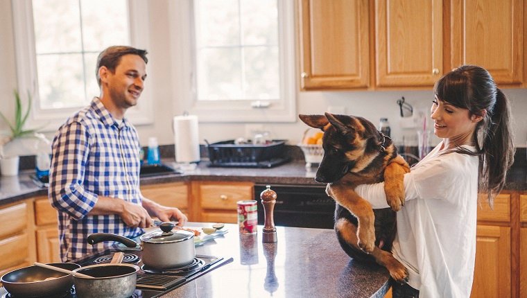 Paar in der Küche zusammen kochen. Frauen halten ihren Hund in Händen und er schaut auf Essen
