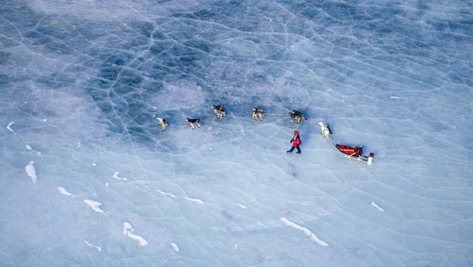 Schlittenhunde auf zugefrorenem See