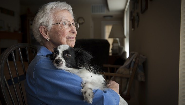 Haustiere abholen, wenn Senioren oder behinderte Menschen sich nicht mehr um sie kümmern können