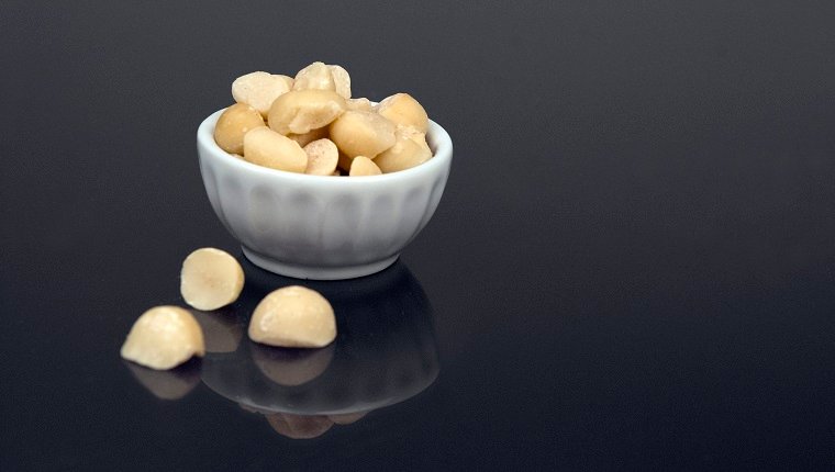 A small snack-size bowl of macadamia nuts (or ingredient size bowl) sits on a black reflective surface.