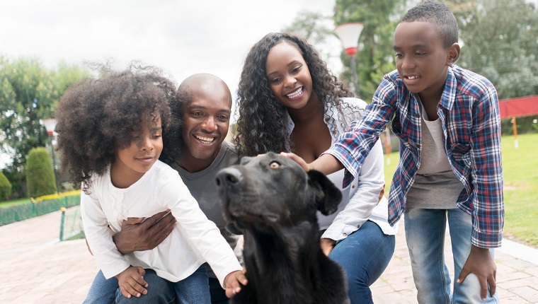 Porträt einer glücklichen afroamerikanischen Familie, die einen Hund adoptiert und lächelt? Lifestyle-Konzepte
