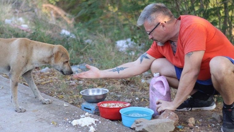 Betreuung von 950 Hunden in Thailand: Treffen Sie den Mann, der Hunde rettet