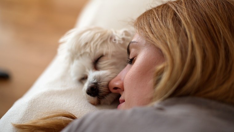 Maltesischer Hund auf dem Bett, der neben einem schönen blonden Mädchen schläft