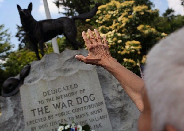 HARTSDALE, NY - JUNE 10: Doloris Speyer pays respects during an annual memorial service for military working dogs at the Hartsdale Pet Cemetery on June 10, 2012 in Hartsdale, New York. Thousands of dogs have served in American military conflicts since World War I, most recently in Afghanistan detecting roadside bombs and mines meant for U.S. troops. The cemetery, established in 1896, is the oldest pet cemetery in the United States and serves as the final resting place for tens of thousands of animals. (Photo by John Moore/Getty Images)