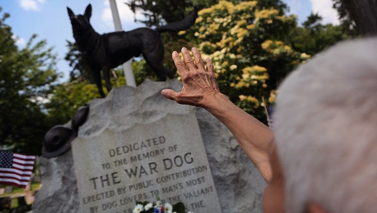 HARTSDALE, NY - JUNE 10: Doloris Speyer pays respects during an annual memorial service for military working dogs at the Hartsdale Pet Cemetery on June 10, 2012 in Hartsdale, New York. Thousands of dogs have served in American military conflicts since World War I, most recently in Afghanistan detecting roadside bombs and mines meant for U.S. troops. The cemetery, established in 1896, is the oldest pet cemetery in the United States and serves as the final resting place for tens of thousands of animals. (Photo by John Moore/Getty Images)