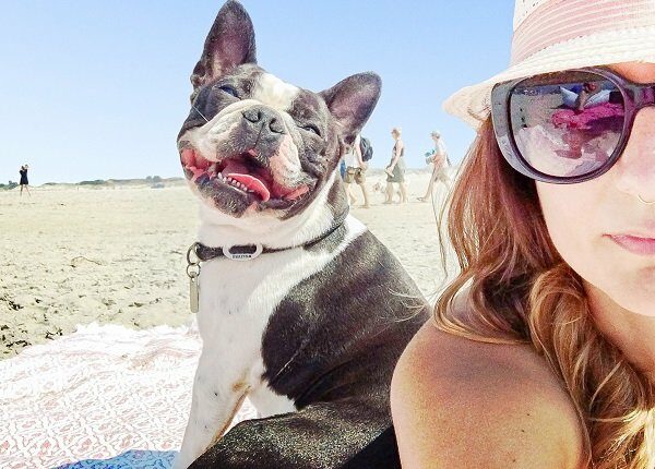 Young Women With Boston Terrier Enjoying At Beach