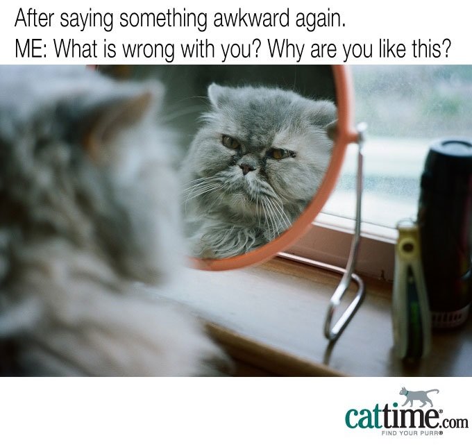 Die Katze im Spiegel