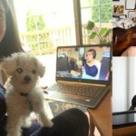 Live-Musik mit Ihrem Hund: Wir gingen zum virtuellen Benefizkonzert „Songs to Save Them All“ der Best Friends Animal Society