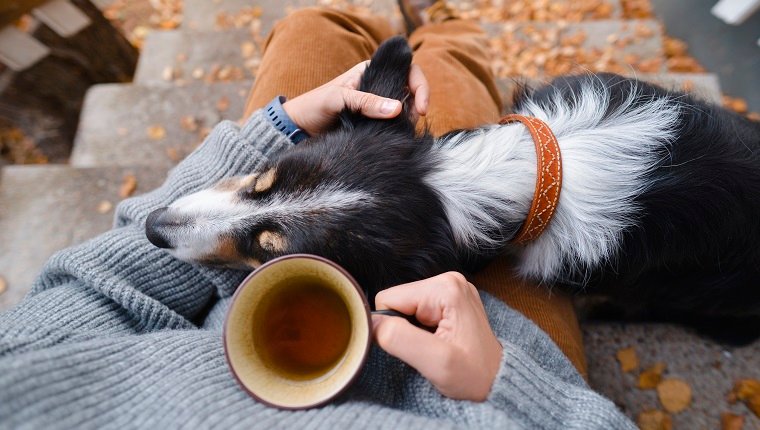 Eine Person und ein Hund sitzen draußen auf den Sternen mit einer Tasse Tee.