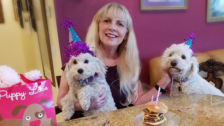 Eine blonde Frau und ihre zwei Hunde haben eine Geburtstagsfeier. Die Hunde tragen Partyhüte. Sie sitzen an der Theke und die Geburtstagstorte ist ein Hamburger mit Kerzen darin. An der Seite befindet sich eine Geschenktüte mit einem Hund auf der Vorderseite. Das Bild wurde in Südkalifornien aufgenommen.